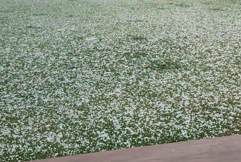 2024 07 13 12 48 40 66928db46f8fc66928db46f937