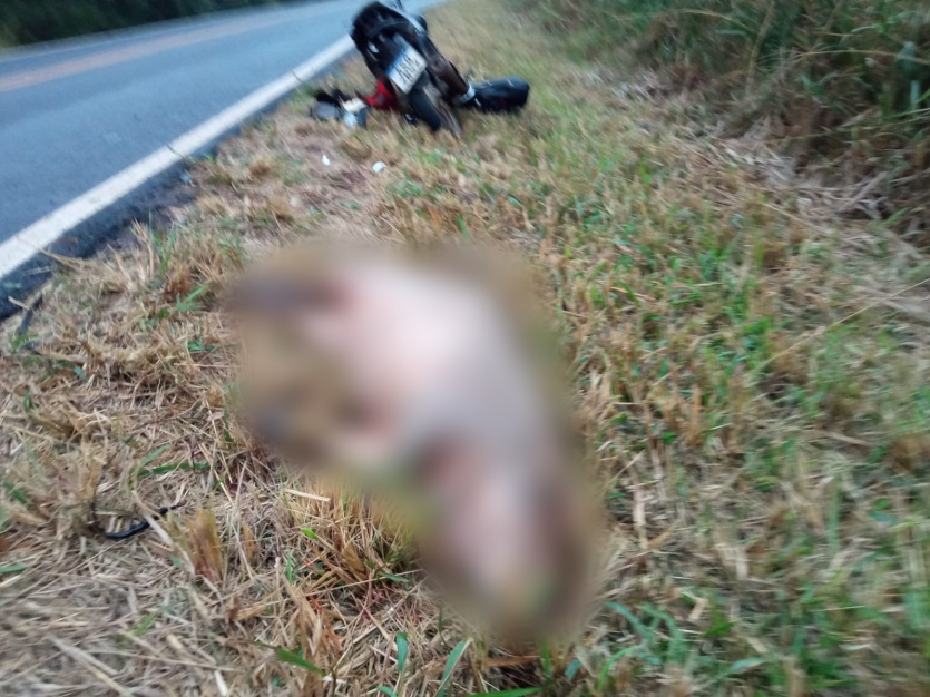 Imagem Do Whatsapp De 2024 07 11 à(s) 19.40.52 27d6ad01