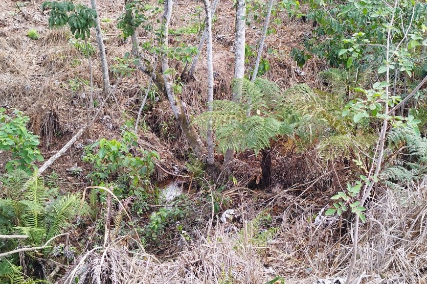 Imagem Do Whatsapp De 2024 07 16 à(s) 17.36.06 537a9608