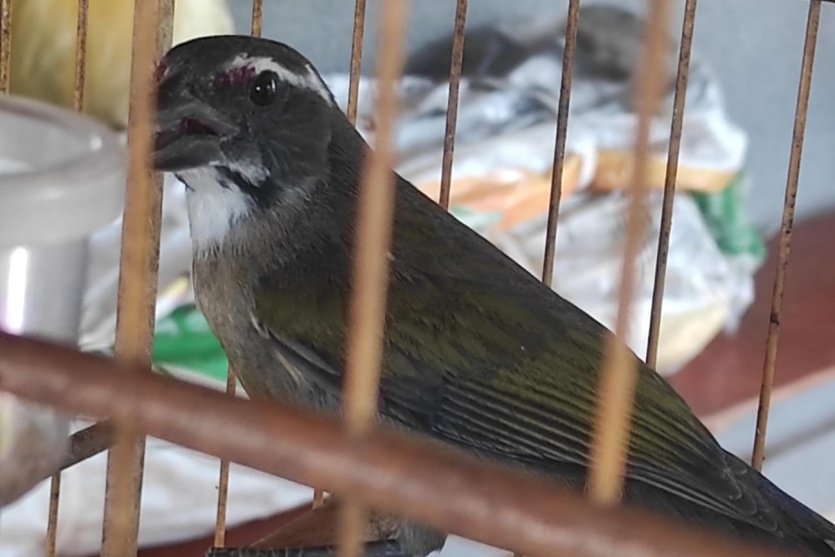 Whatsapp Image 2024 07 22 At 14.25.05