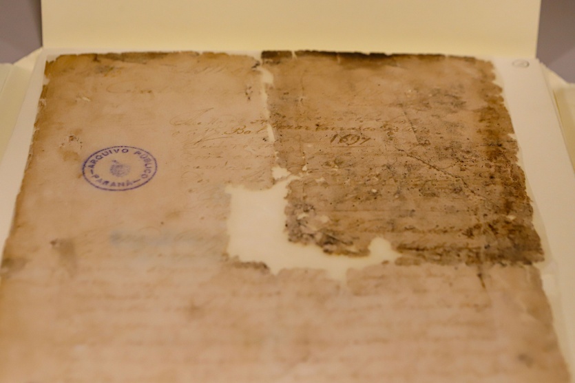 Acervo Foto Rdziura 8753