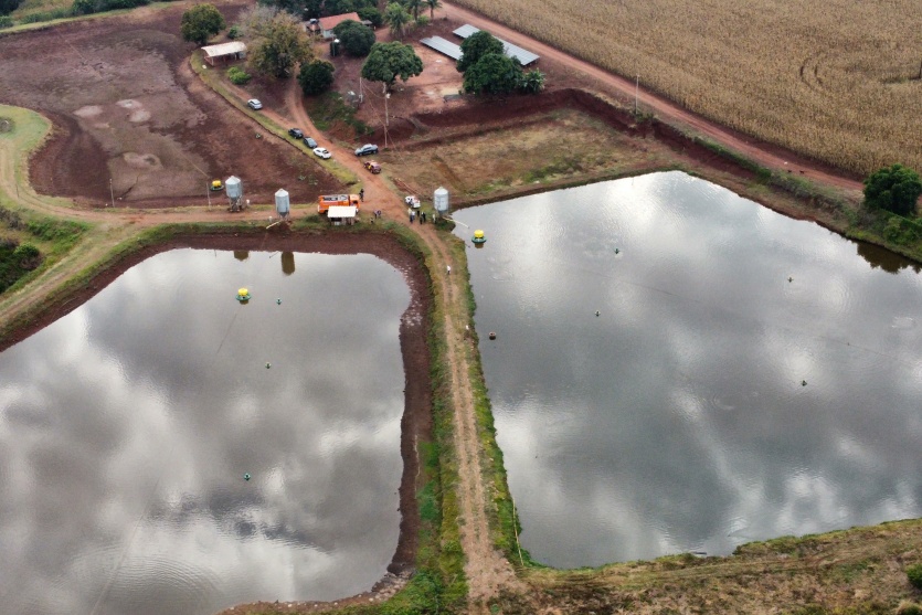 Dji Fly 20240715 084616 771 1721044358754 Photo Optimized 0