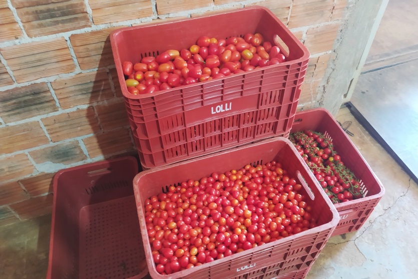 Agro Lolli (17)