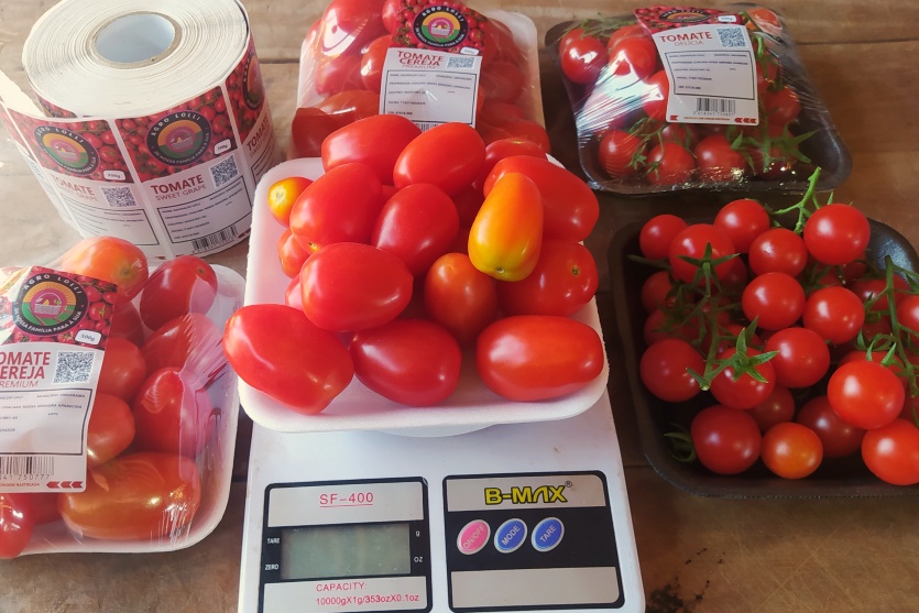 Agro Lolli (19)