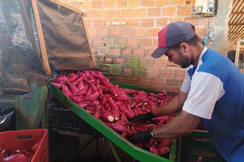 Agro Lolli (2)