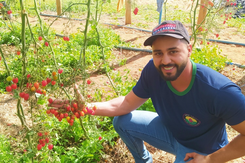 Agro Lolli (5)