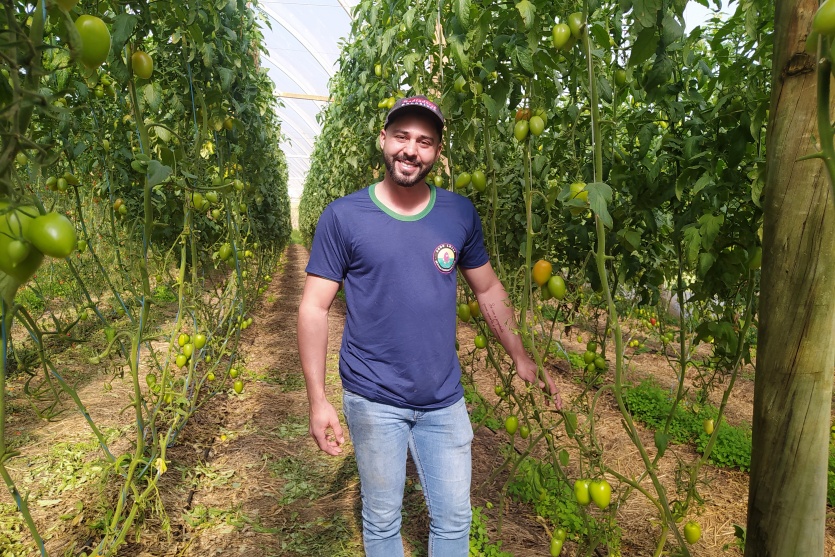 Agro Lolli (6)