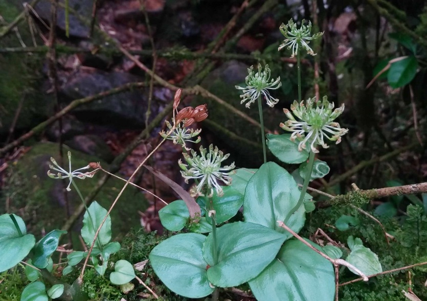 P 20190115 141238
