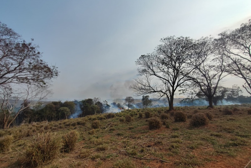 Whatsapp Image 2024 08 05 At 08.33.45 1