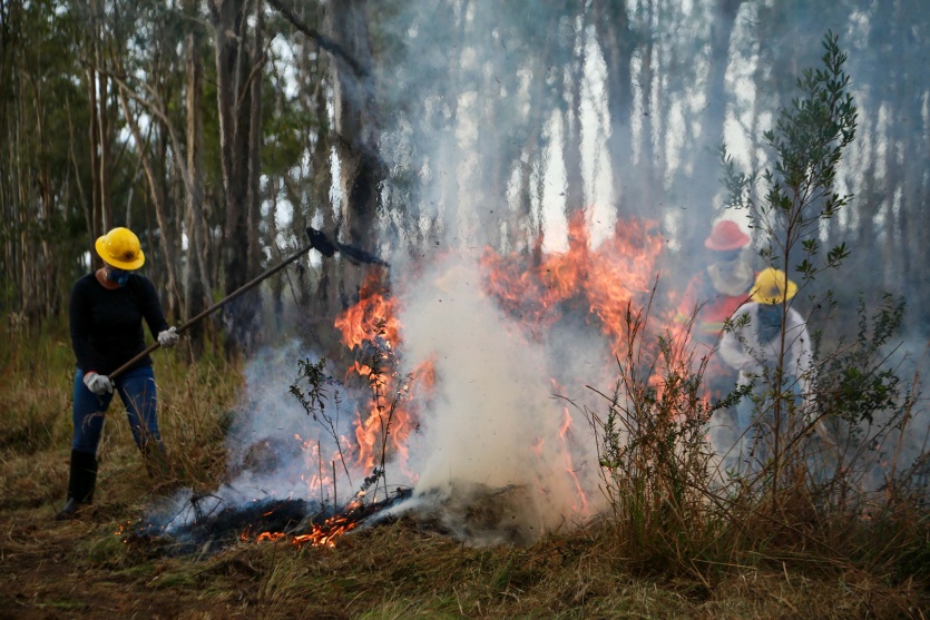 Incendios Em Ucs 02 Gabrielly Pontes Cge