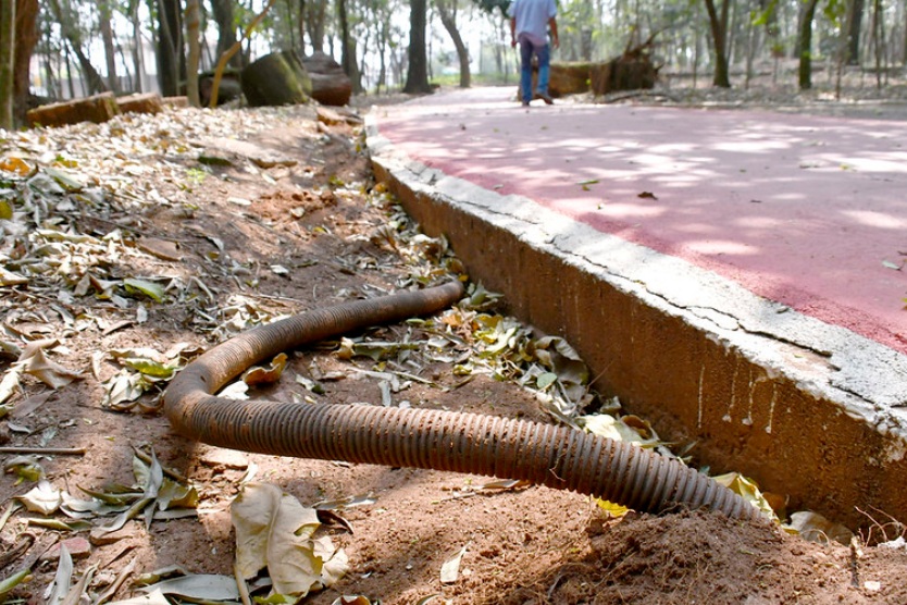 53986093879 8e07b0f38d C