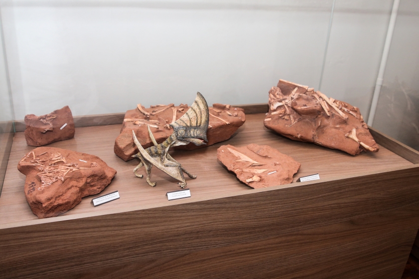 Dinossauro