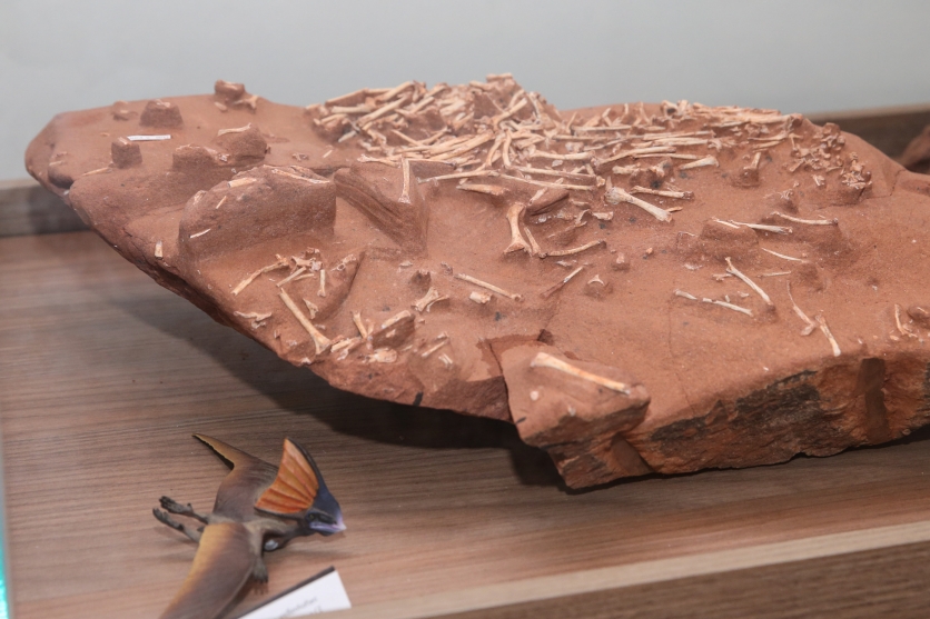 Dinossauro