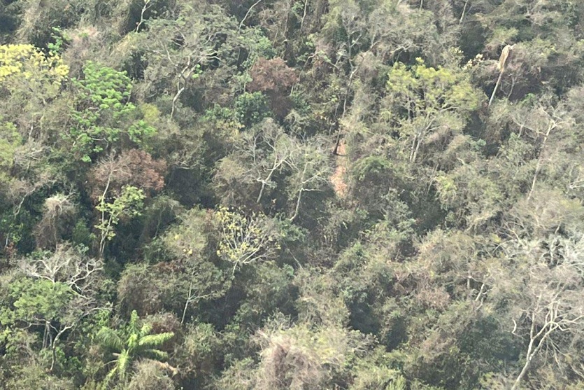 Monitoramento Cianorte 05 Iat