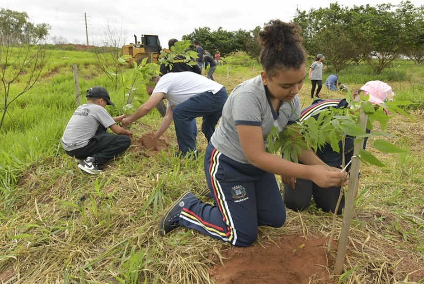 54083203416 Cd24538af4 C