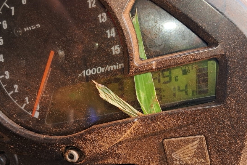 Whatsapp Image 2024 10 17 At 15.12.26 1