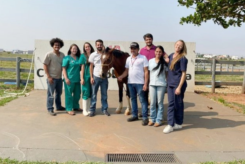 Cavalo 3.max 1024x538.format Jpeg.jpegquality 80